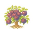 Project Hamburg Research